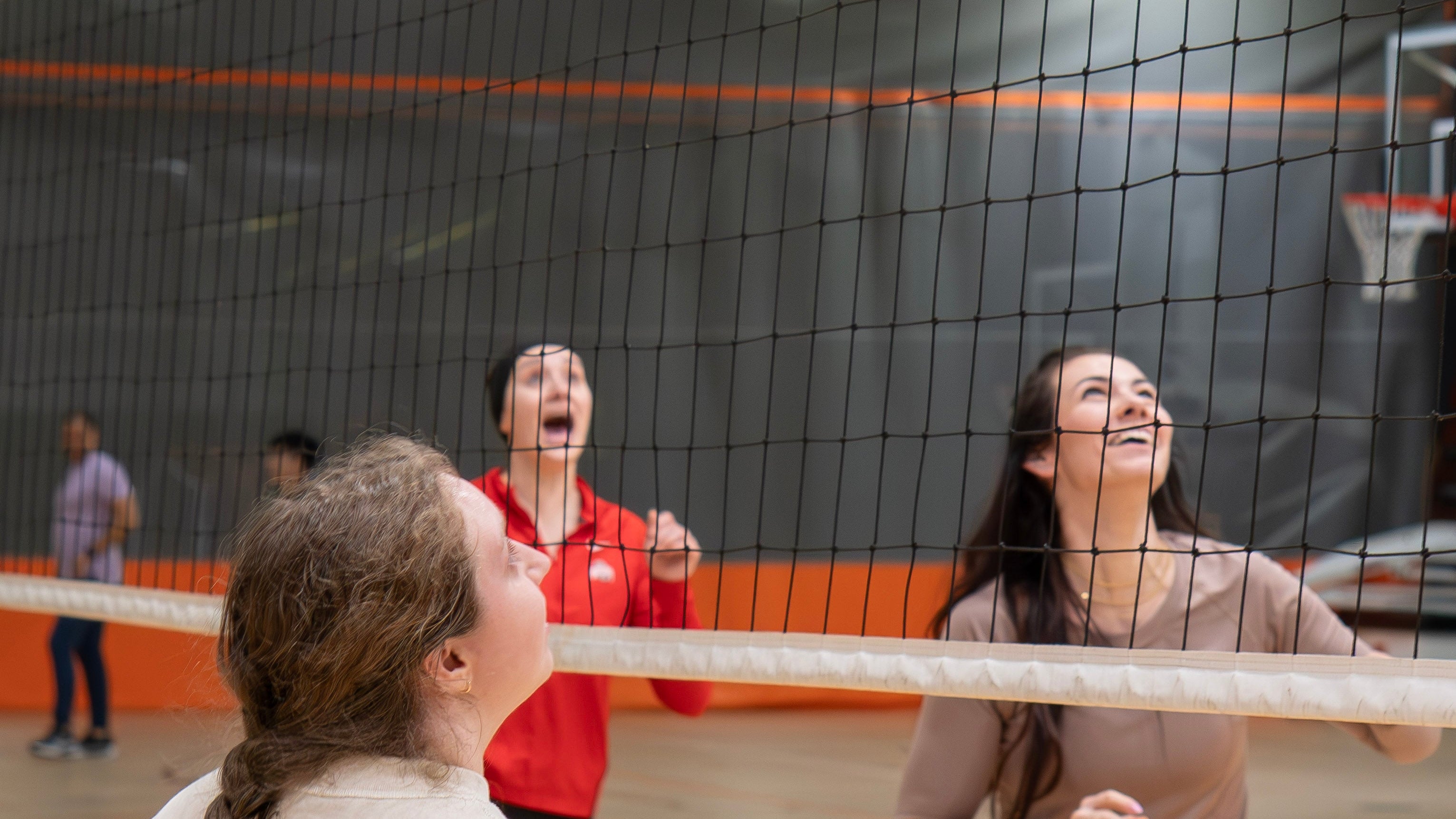 Volleyball Leagues