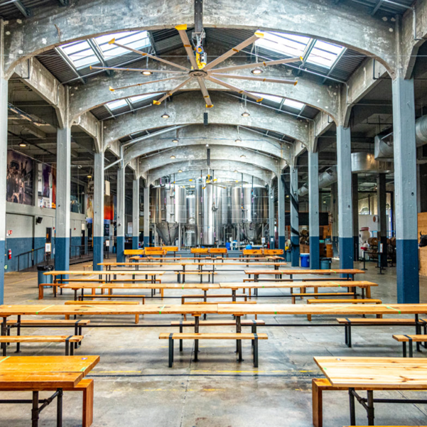 Cincinnati Winter Speed-Dating Cornhole League (Ages 25 - 35)